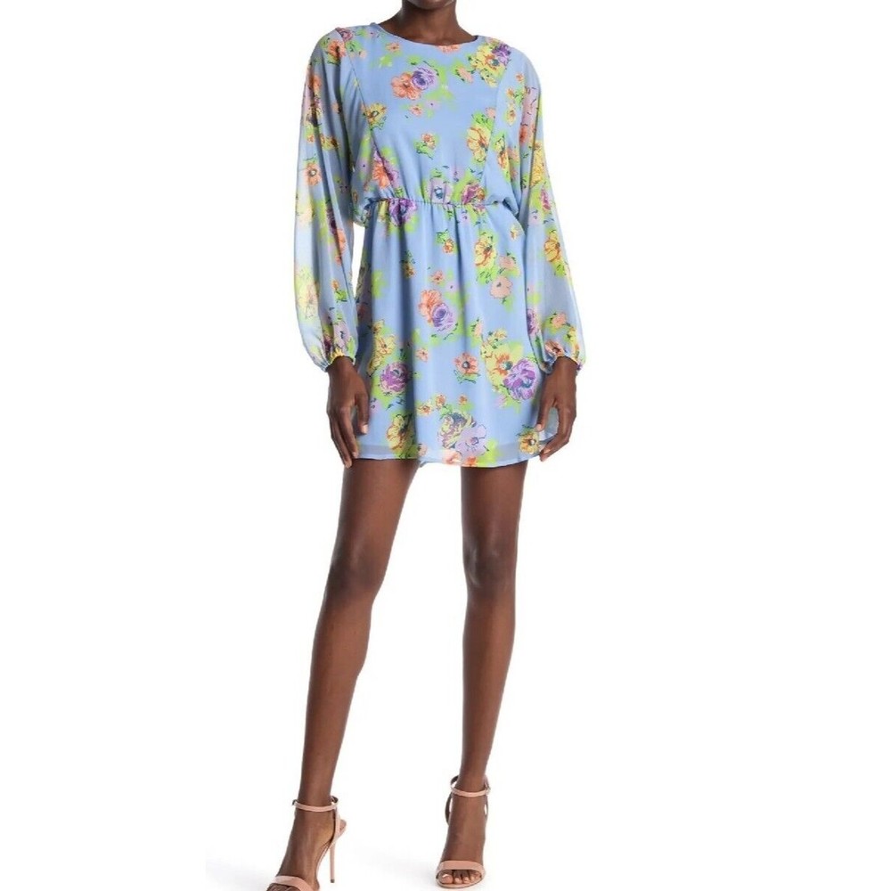 New w/Tags! WAYF Size Small Dolman Long Sleeve Floral Corn Flower Blue Dress